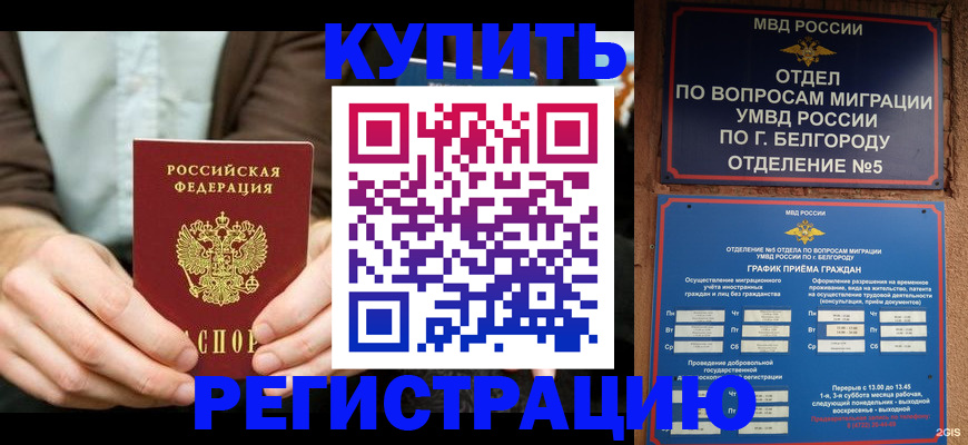 прописка 2025 в Балаково